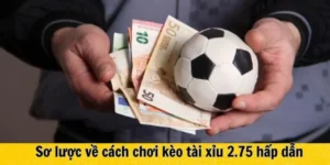 Chinh Phục Kèo 2.75 Keovip Online Với Chiến Thuật Chuẩn Xác